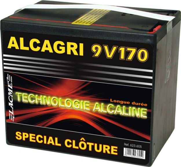 Image sur BOX 45 Piles ALCAGRI 9V - 170 Ah