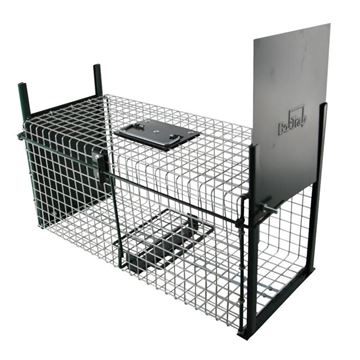 Image de CAGE A RATS